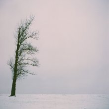 &quot;Bald Schneestürme und Schneestürme, bald Tod des Grundstückes&quot; / ***