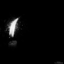 [Night. Shadows laut} / ***