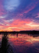 Haben über den See scharlachrote Morgenröte gewebt / ***