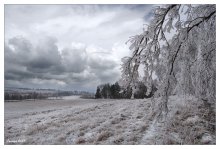 Winter Thema / ***