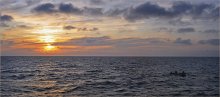 Sea Fishing / ***