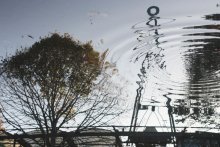 Spiegelung / ---------->