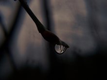 Abschied vom Herbst ... / ***