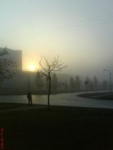 Nebel / ***