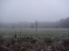 Nebel im Dezember / ***