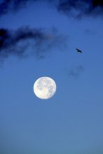 Mond, Mond ... / ***