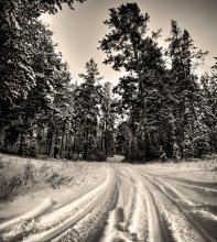 Die Straße im Winter ... / ***