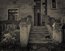 alte Haus und seine Katze / ***