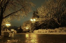 Winterabend in olive Töne / -----