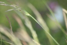 Vage Erinnerungen an den Sommer / ******