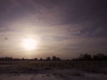 Winter Feld / __________