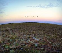 Leb wohl, Steppe ... / *****