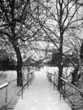 Willkommen bei Winter / ***