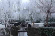 Winter! / ---------------------&gt;