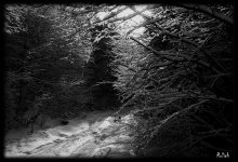 Wo der Weg zu verwendenden / ***