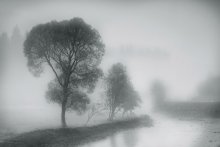 Misty Fluss / ***