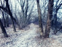 Path prisnezhenoy / ***