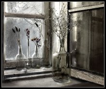 Getrocknete Blumen im Fenster / ..._______