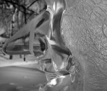 Icy Profil)) / ***