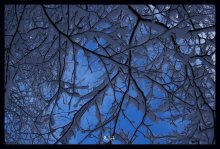 Blick in deinen Himmel / ***