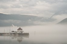 Cove im Nebel / ***