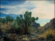 Geschichten Limonow Berge / Lemon Mountain, Tuscon, Arizona, USA