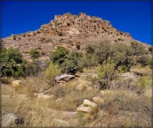 &nbsp; / Limon Mountain, Tuscon, Arizona, USA