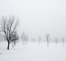 Nebel des Winters / -------