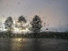 Regen / ***