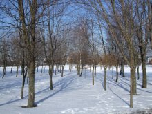 Im März Schaum Schnee Frühling scheu ihr Tagebuch schrieb / ***