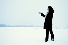 Die Schneekönigin / .....................