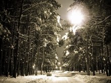 Winter Park bei Nacht ... / ***