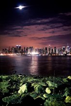 Downtown NYC from New Jersey / http://www.flickr.com/photos/alena_romanenko/4170580150/
http://alena-romanenko.blogspot.com/