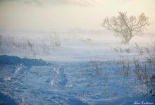 Im vergangenen Winter, eine Erinnerung ... / ***