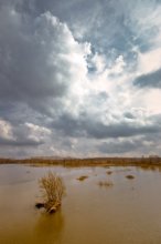 Hochwasser / ***