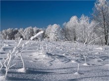 In der Kraft des Frostes / ***