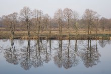 Morgendliche Stille / ***