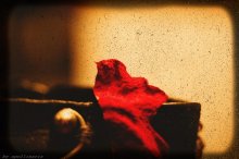 thing #15 / ***