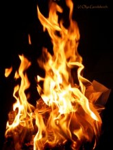 Feuer / ******
