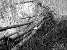aus der Antike / ***