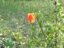 ... Eins, aber was?! ... / ***