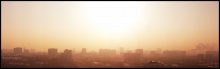 Blick aus dem Fenster / ***
