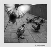 Drifters / ***