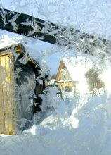 Winter Muster / ***
