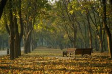 Über den Herbst und den Park / ***