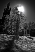 IR-Wörlitzer Park # 6 / 6.2.2010, Wörlitzer Park, Wörlitz, Landkreis Wittenberg, Sachsen-Anhalt, Germany...