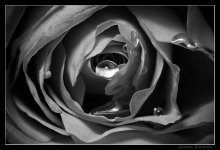 Tiefen des Unterbewusstseins / ***