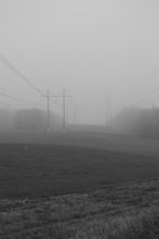 Nebliger Morgen / ***