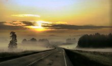 Der Morgen auf dem sibirischen Highway. / ***