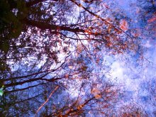 Mit den weißen Himmel auf der Brust / ***